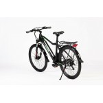 Allegro Electric Mountain Urban Bike 250W 36V 10AH E-Bike